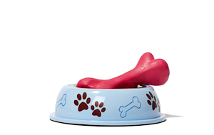 dog bowl